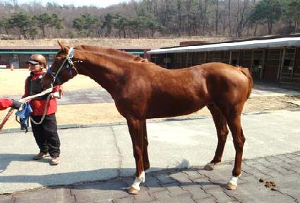 �̽��Ͱ��� ����