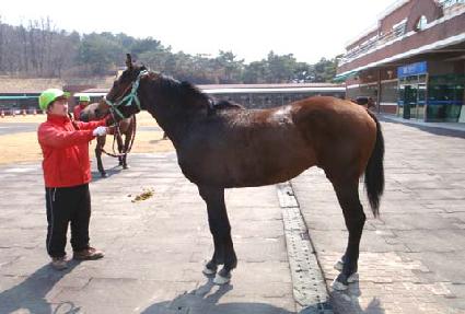 �½��ʽ� ����