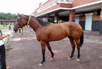 �Ƹ����ٶ� (ARIRANG BARAM) ����