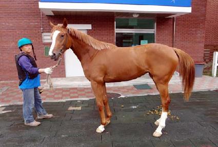 ��õ�Ǻ��� ����