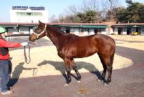 ������ (JEOMSUNI) ����