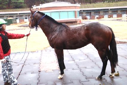 ����ǥ ����