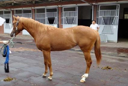 �ŵ����� ����