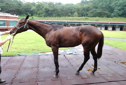 ���ӹ��� ����