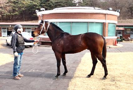 �Ҹ��ȭ ����