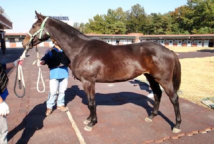 ���丮���� ����