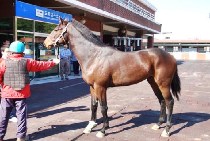 õ����� ����