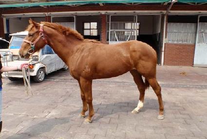 ��轺 ����