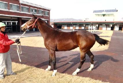 �������� ����