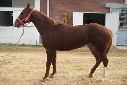 ����Ʈ ����