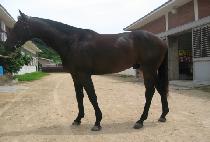 �����Ǻ� (DAEJIUIBIT) ����