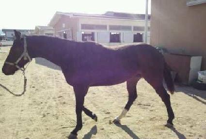 ��ũ���� ����