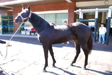 ��������õ ����