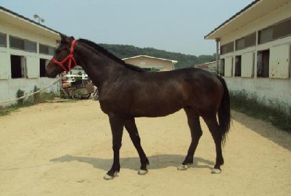 ������ ����