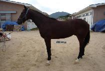 ���Ѹ��� (MUHAN MAENGJU) ����