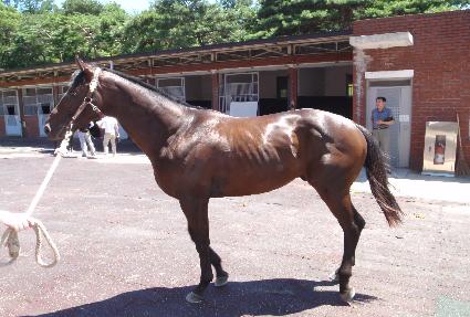 ġ� ����