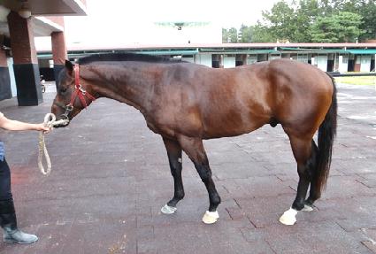 û��ȣ�� ����