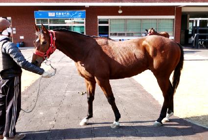 ������ ����