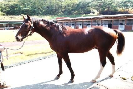 ���̽���� ����