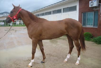 �������屺 ����