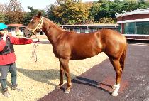 ���� (YESUL) ����