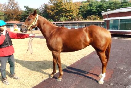 ���� ����