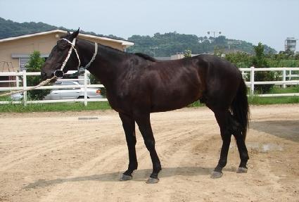 ŷ����� ����