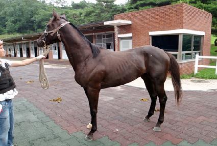 ������ ����