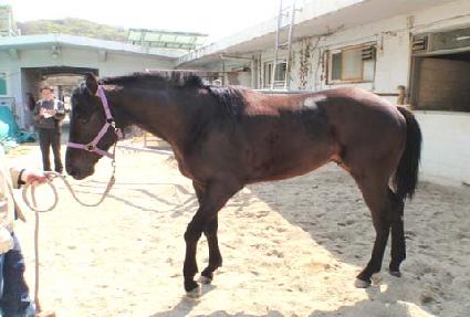 ������ ����