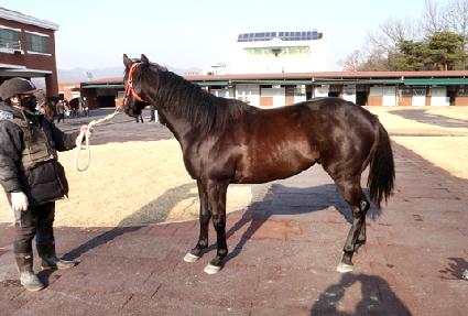 �����Ѽ��� ����