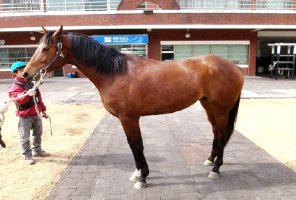 �Ƹ��ٿ�ź�� ����