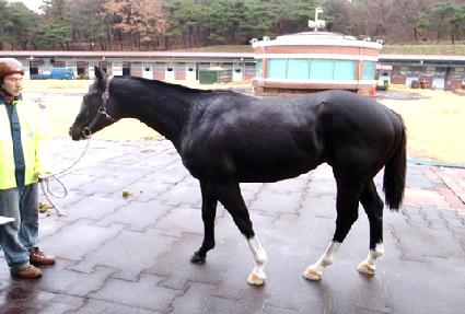 ����캼 ����