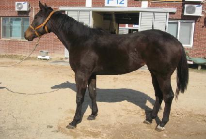 ��ī��Ʈ ����