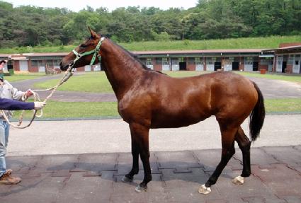 ���� ����