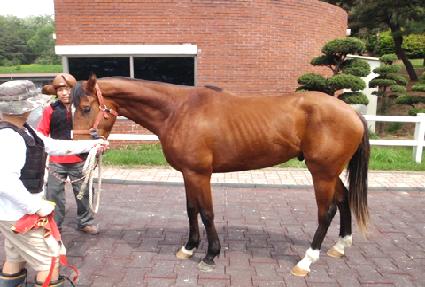 �������� ����