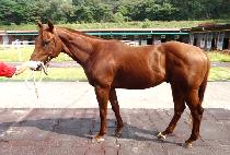 ���̳��� (DYNAMO) ����