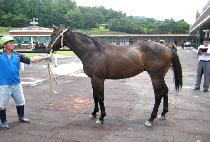 ����¦�� (NUN KKAMJJAGI) ����