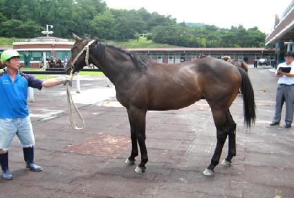 ����¦�� ����