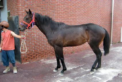 �ٴ����� ����