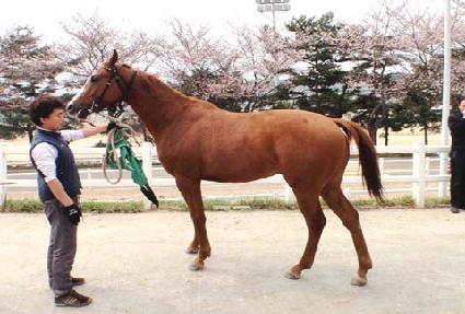 ���� ����