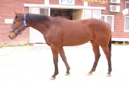 �Ծȵ��� ����