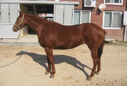 ����Ʈ��� ����