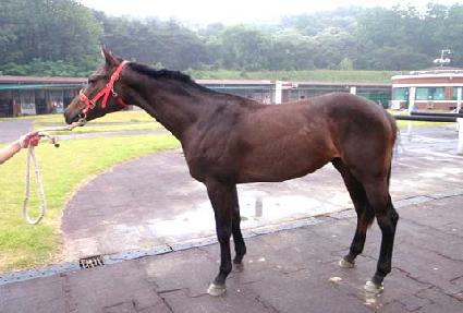 ��ظ��� ����