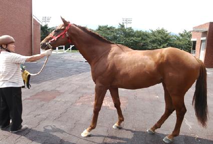 �ص� ����