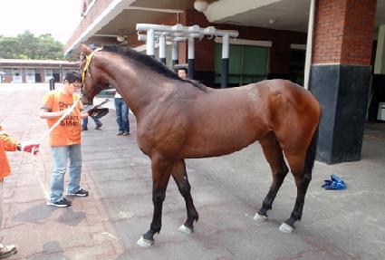 �Ŀ�Ǯ�̽��� ����