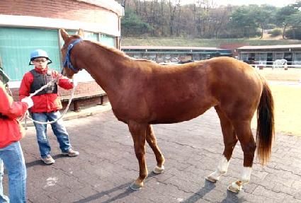 �׿���Ƽ ����