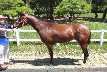 Ǫ������ (PUREUN JEJU) ����