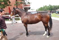 ������� (JEONGUYONGJANG) ����