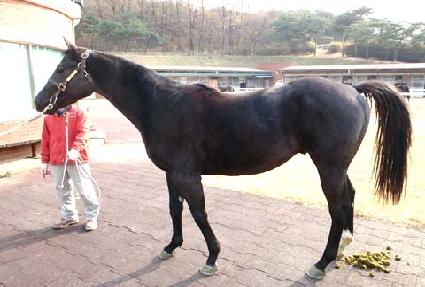 ���ǵ���ũ�� ����