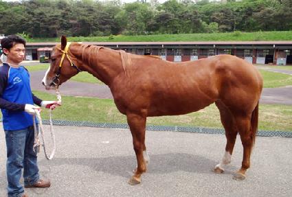 �Ѷ��Ǳ�� ����